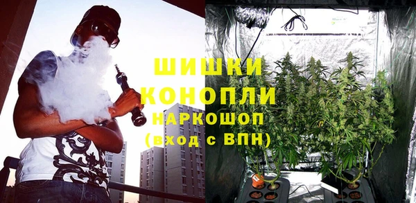 тгк Карпинск