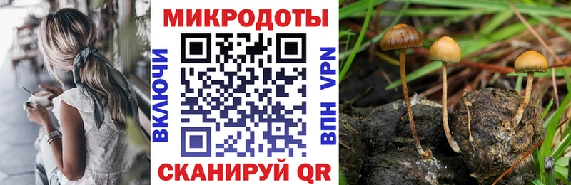 Галлюциногенные грибы Cubensis Сосновый Бор